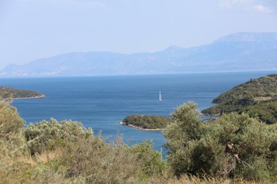 IMG_0786