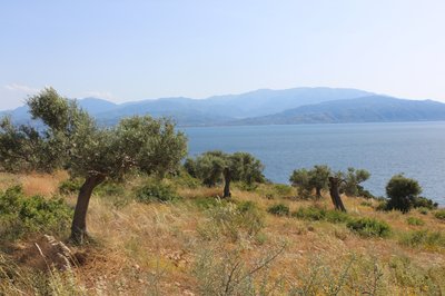 IMG_0794